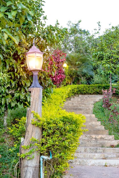 Lamp in garden with stair