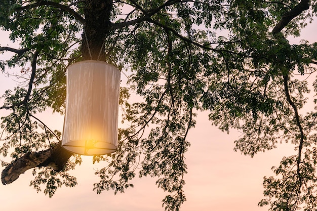 Lamp glans hangend aan tak van regenboom