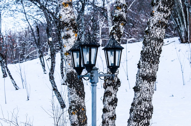 Lamp in de sneeuw