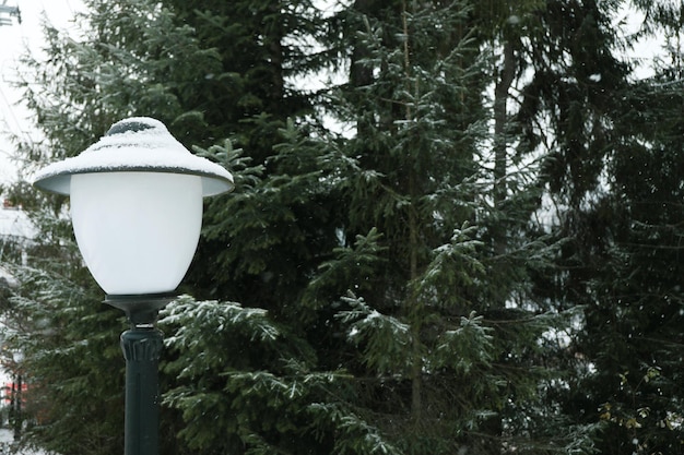 テキスト用の雪の日のスペースの街灯柱