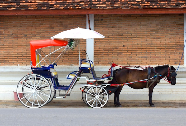 Photo lampang horse carriage