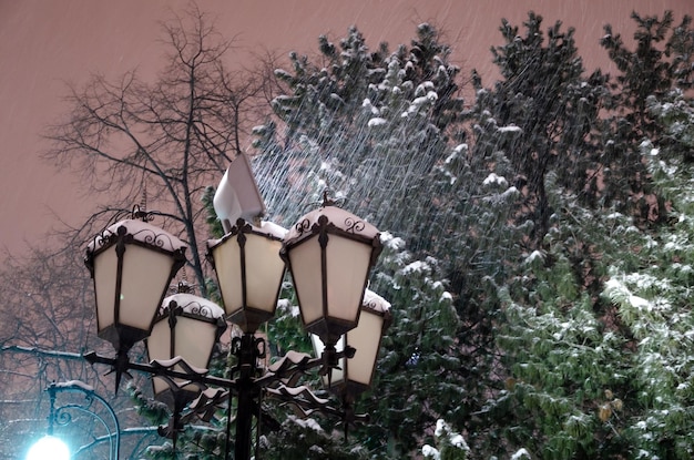 Lamppost in winter in the park in the evening.