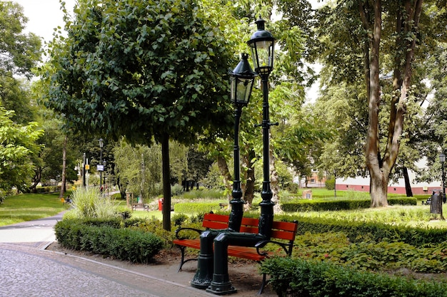 Lampposts in love sitting on a bench Concept of love in the parkLampposts depict human love