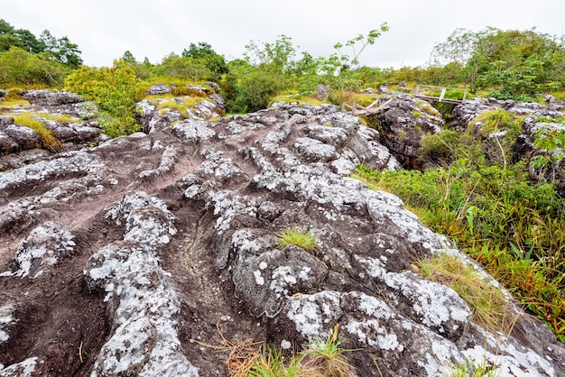 Lan Hin Teak, grote stenen binnenplaats met vreemde stenen vormen is een beroemde natuurlijke toeristische attractie van Phu Hin Rong Kla National Park, provincie Phitsanulok, Thailand