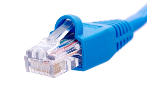 Lan-kabel en connector op witte achtergrond