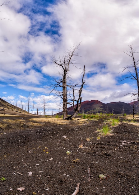 ロシア カムチャトカ半島のゴレリ火山