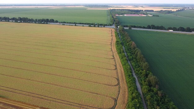 Land landschap verschillende landbouwvelden en weg met auto's rijden