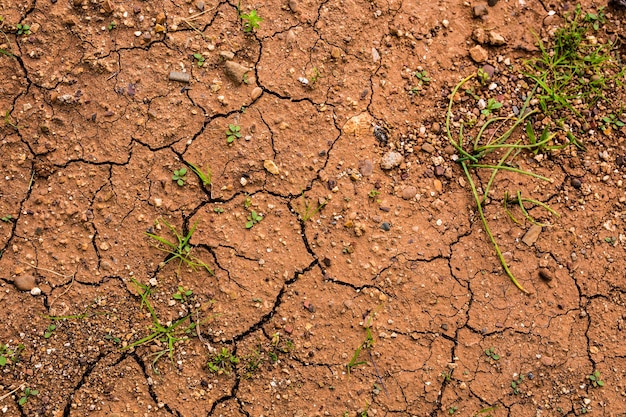 Land met droge en gebarsten grond. Scheuren in het land op het platteland