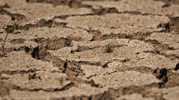 Land met droge, gebarsten grond. Detailopname.