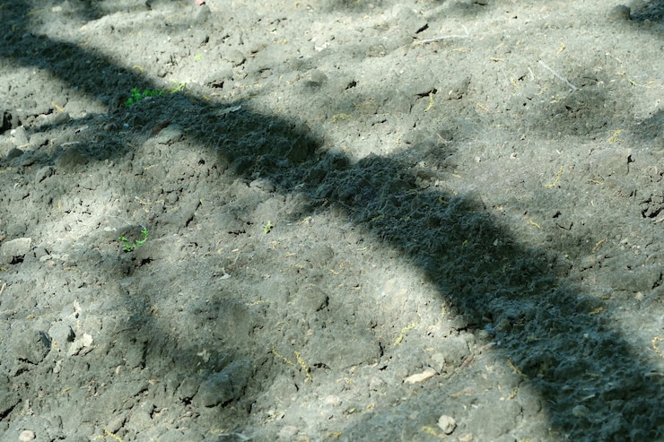 Photo 植え付けに用意された土地に木の影が付いている