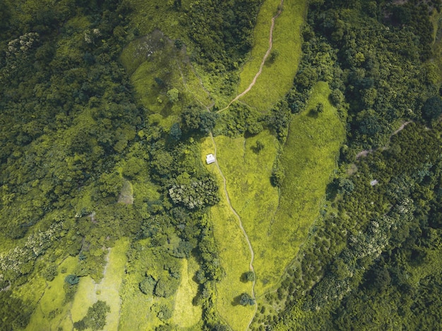 Фото Земля действительно лучшее искусство