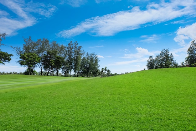 Land Scape Brede groene grasvelden