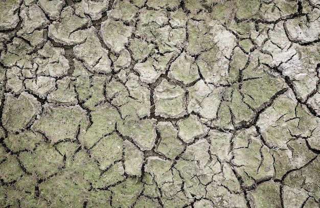 土地は乾燥してひび割れていました地球上の水不足地球温暖化とグリーンホー