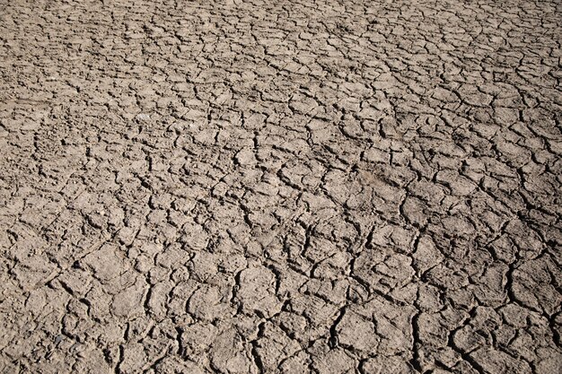 Land with dry cracked ground wall