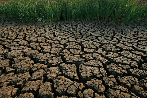 Land with dry cracked ground