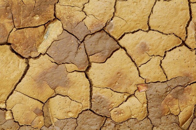 Land with dry and cracked ground.