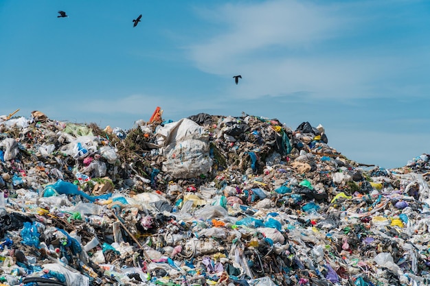 写真 ゴミのある土地 カラス鳥がゴミ捨て場を飛ぶ 環境問題 公害