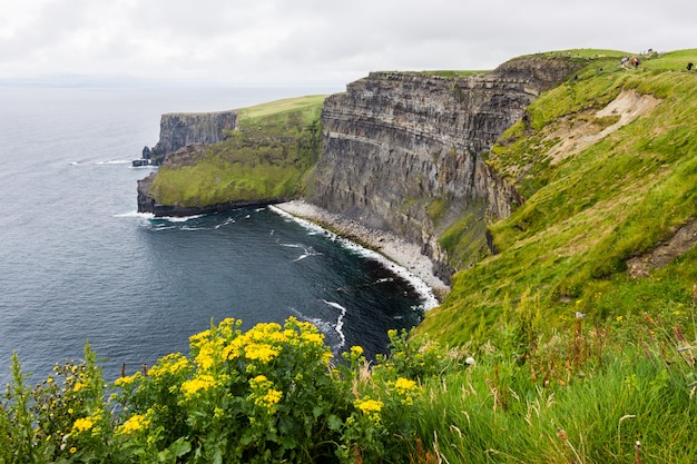 アイルランドの風景。モハーの断崖