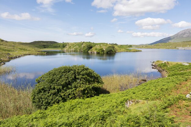 アイルランドの風景 ゴールウェイ郡のコネマラ