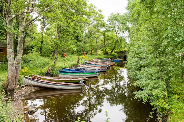 アイルランドの景観