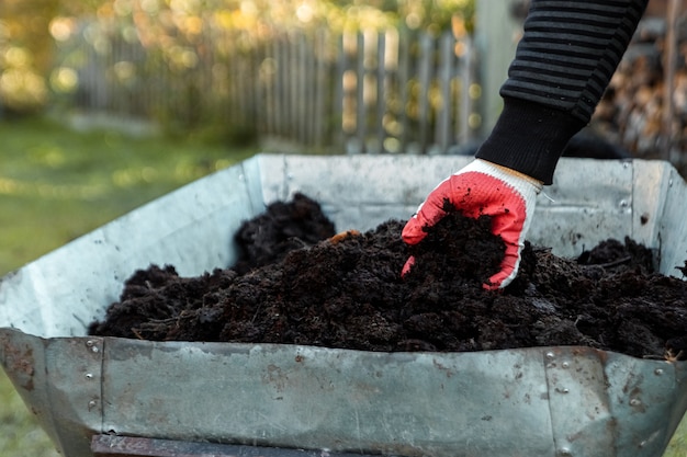 Landauto met meststof, plantseizoen. groenten planten.