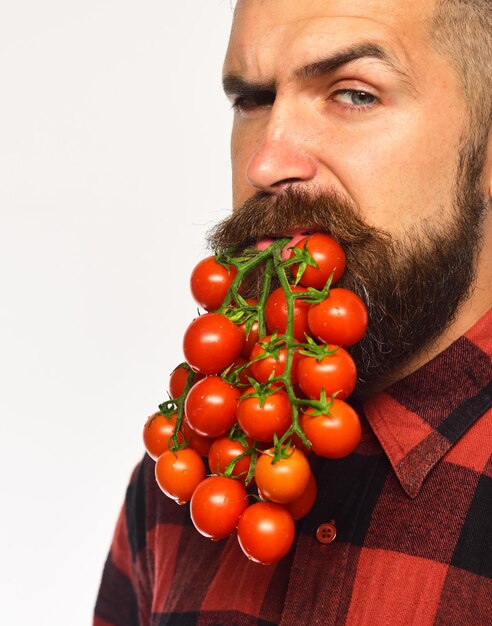 Landbouw en tuinieren concept. / Landbouw- en herfstconcept. Guy toont zijn oogst. Man met baard houdt tomatenbessen geïsoleerd op een witte achtergrond. Boer met ________ gezicht houdt bosje kers vast aan