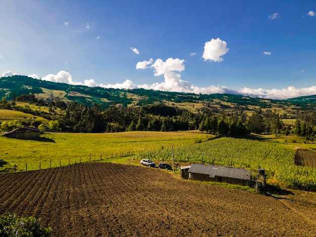 Landbouw in Colombia