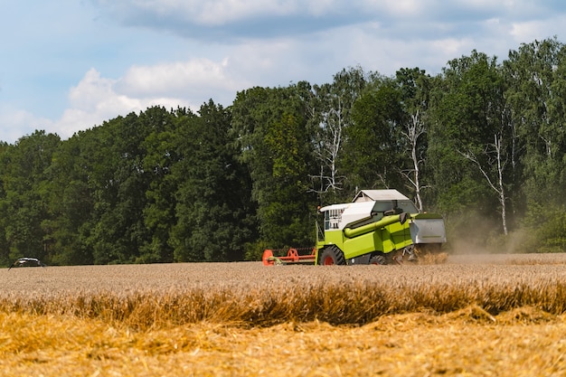 Landbouw machine oogst in velden