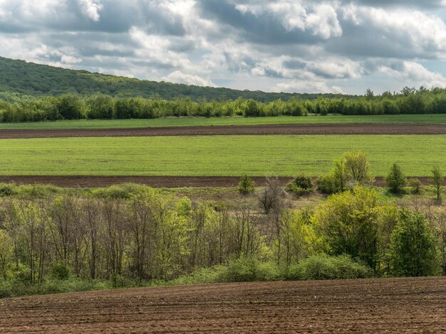 Foto landbouw mooie blauwe foto