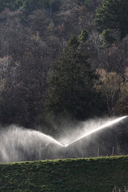 Landbouw sprinkler op het veld tegen bomen tijdens een zonnige dag
