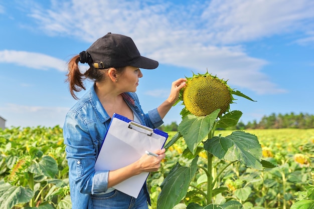 Landbouwarbeidervrouw met werkmap in groen zonnebloemveld, vrouw die op de boerderij werkt, analyseert de oogstkopieruimte