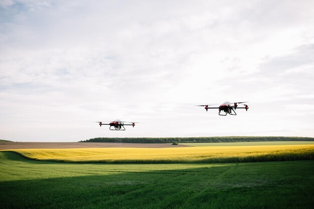 Landbouwdrone die bij zonsopgang op het groene theeveld vliegt