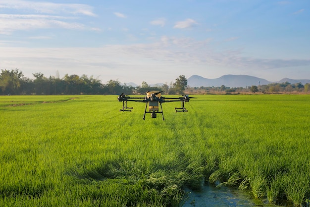 Landbouwdrone vliegt en sproeit kunstmest en pesticiden over landbouwgrond