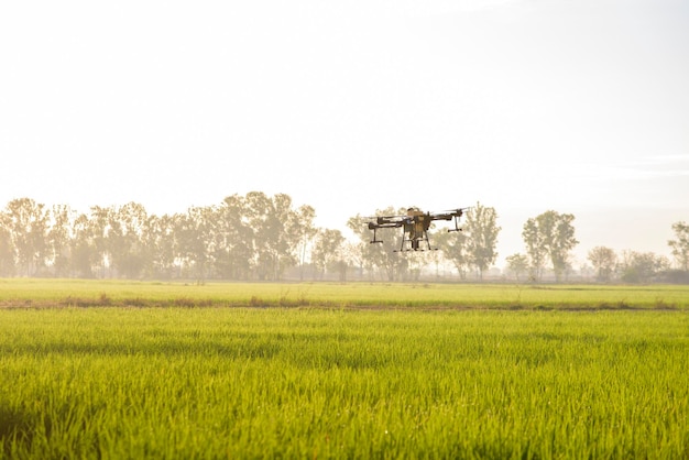 Landbouwdrone vliegt en sproeit kunstmest en pesticiden over landbouwgrond