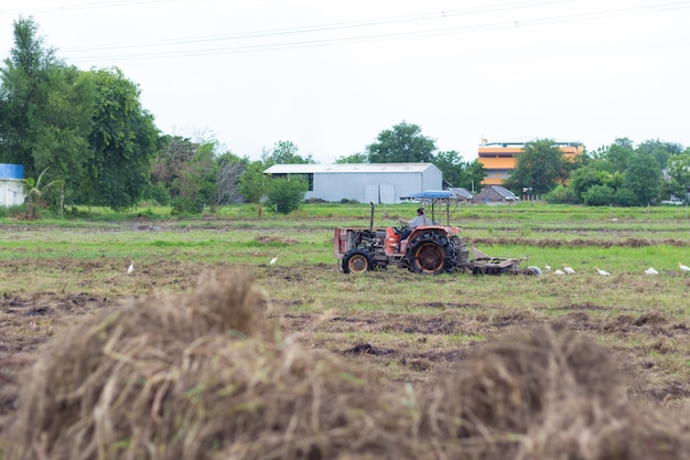 Landbouwer die in tractor land met zaaibedlandbouwer voorbereidt