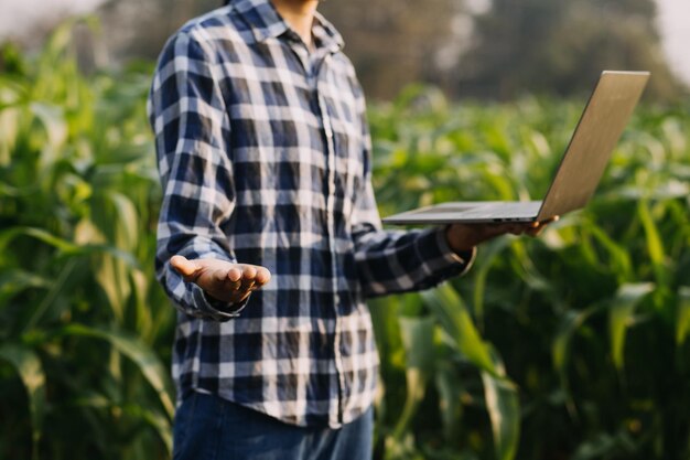 Landbouwer gebruikt het kerngegevensnetwerk op internet vanaf de mobiel om de test te valideren en de nieuwe gewasmethode te selecteren Jonge boeren en tabaksteelt