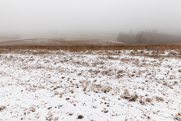 Landbouwgebied in de winter is bedekt met sneeuw