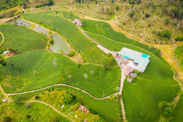 Landbouwgebied met luchtfoto