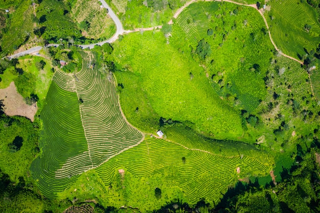 Landbouwgebied met luchtfoto