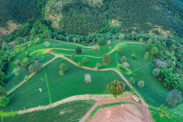 Landbouwgebied met luchtfoto