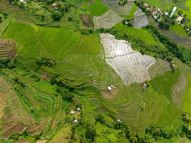 Landbouwgrond in de Filippijnen