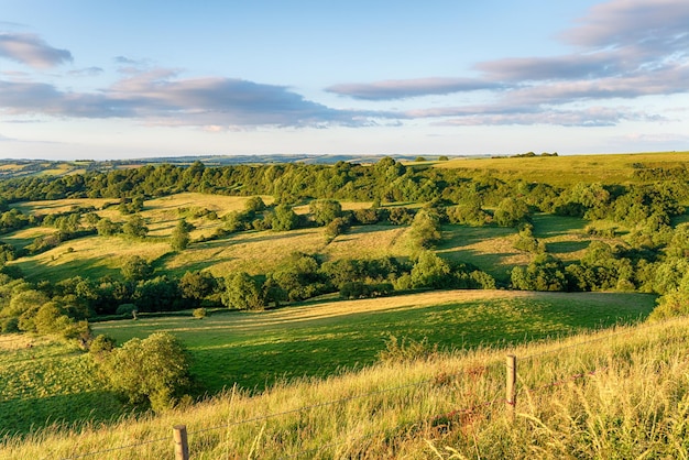 Landbouwgrond op het platteland van Dorset