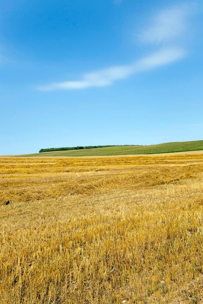 Landbouwgrond