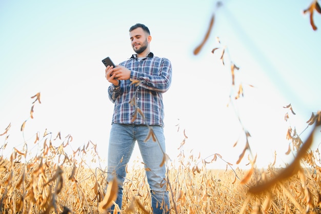 Landbouwkundige boer onderzoekt de ontwikkeling van sojabonen gewassen in plantage veld selectieve focus