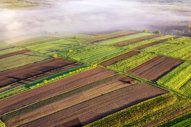 Landbouwlandschap van lucht op zonnige de lentedageraad. Groene en bruine velden, ochtendmist.