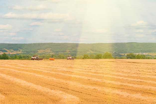 Landbouwmachines op een geel veld onder een blauwe lucht met zonnige wolken