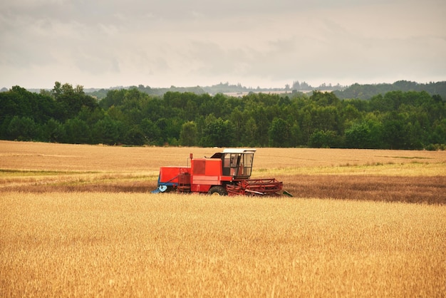 Landbouwmachines Tractor cultiveren van velden bij zonsondergang Maaidorser op het werk Agrarische industriële landbouw op Golden Hour