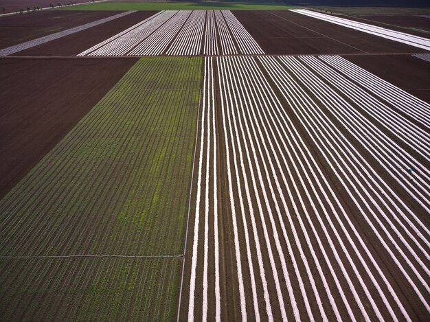 Landbouwveld bedekt met luchtfoto drone-weergave van plastic film