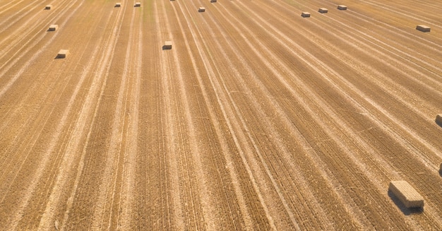 Landbouwveld drone weergave