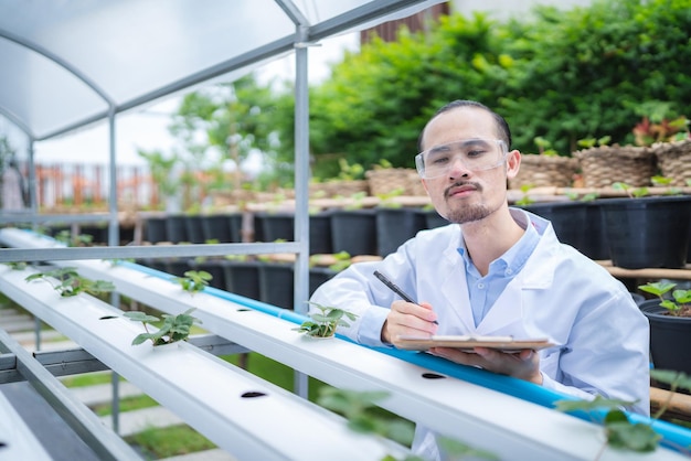 Landbouwwetenschapper die onderzoek doet naar een groene groenteplant op een gebied van biologie laboratorium biotechnologie is een technologie botanie-experiment van de natuur ecologie organische groei van de glastuinbouw